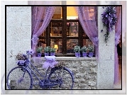 Rower, Okno, Kwiaty, Budynek
