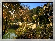 Park, Most, Drzewa, Jesień