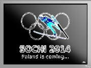 Sochi 2014, Polski, Skoczek