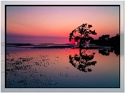Plaża, Zachód, Słońca, Drzewa