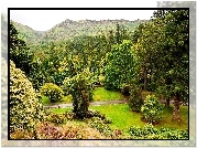 Szkocja, Benmore, Ogród Botaniczny, Argyll, Góry