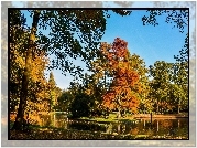 Park, Jesień, Staw