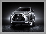 Lexus, NX