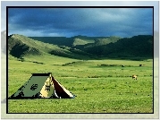 Stepy, Mongolia, Namiot