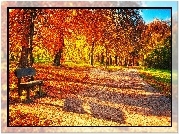 Jesień, Park, Ławka