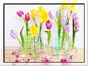 Kwiaty, Tulipany, Hiacynt, Żonkile, Butelki, Buteleczki