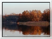Jezioro, Drzewa, Przedwiośnie