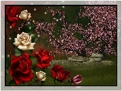 Róże, Ogród, Grafika, 3D