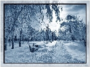 Zima, Śnieg, Park, Drzewa, Ławki