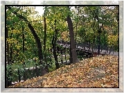 Park, Rzeczka, Most, Opadłe, Liście