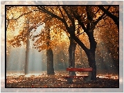 Jesień, Park, Ławka, Mgła