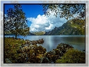 Norwegia, Jezioro, Góry, Kamienie, Drzewa