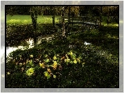 Park, Rzeczka, Mostek