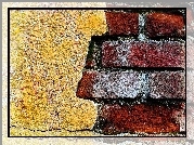 Mur, Cegły, Tynk