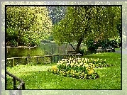Wiosna, Park, Staw