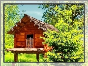 Domek, Łąka, Drzewa
