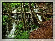 Las, Wodospady, Drewniana, Kładka