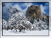 Stany Zjednoczone, Stan Kalifornia, Park Narodowy Yosemite, Szczyt El Capitan
