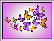 Motylki, Grafika, 2D