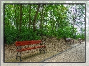 Park, Drzewa, Ławeczki, ścieżka, HDR