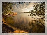 Jezioro, Poranek, Drzewa, Brzeg