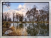 Jezioro, Drzewa, Odbicie