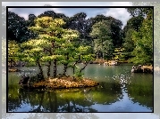 Park, Jezioro, Wysepki, Drzewa, Odbicie
