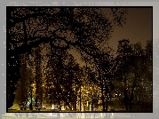 Park, Staw, Ławeczka, Drzewa, Światła, Noc
