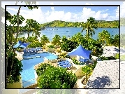 Antigua, Karaiby, Ośrodek, Basen, Palmy, Ocean