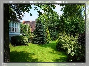 Ogród, Drzewa, Zieleń, Trawnik