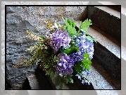 Bukiet, Kwiatów, Hortensje, Schody, Ściana