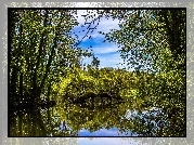 Jezioro, Drzewa, Odbicie