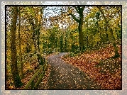 Most, Park, Staw