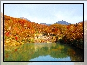 Jezioro, Las, Drzewa, Góry