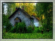 Domy, Drzewa, Roślinność, HDR