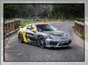 Vorsteiner Porsche Cayman GT4 V CS Aero 981C, 2016