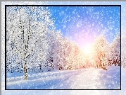 Zima, Wschód słońca, Śnieg, Drzewa, Las