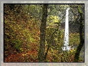Stany Zjednoczone, Stan Oregon, Jesień, Las, Wodospad Elowah Falls