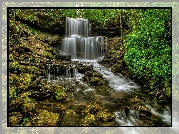 Stany Zjednoczone, Stan Ohio, Wodospad West Milton Cascades, Kaskada, Skały, Drzewa