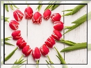 Kwiaty, Tulipany, Wiosna, Serce