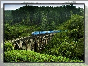 Sri Lanka, Demodara, Most Nine Arches Bridge, Lasy, Pociąg Elektryczny