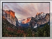 Stany Zjednoczone, Stan Kalifornia, Park Narodowy Yosemite, Góry, Las, Drzewa