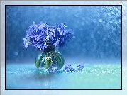 Cebulice Syberyjskie, Niebieskie, Kwiaty, Wazonik, Bokeh, Dekoracja