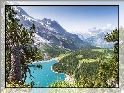 Szwajcaria, Góry, Alpy Berneńskie, Drzewa, Jezioro Oeschinen