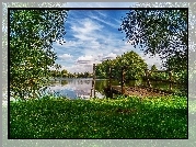 Jezioro, Mostek, Drzewa, Trawa