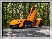 McLaren 570S, 2016