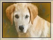 Pies, Szczeniak, Reprodukcja obrazu, Portret
