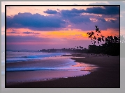 Sri Lanka, Plaża, Ocean, Zachód Słońca, Palmy