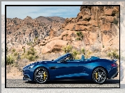 Aston Martin, Vanquish, Volante, Skały, Rośliny