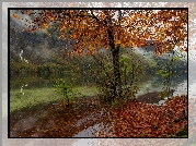 Słowenia, Park Narodowy Triglav, Jesień, Drzewo, Góry, Jezioro Bohinjsko, Liście